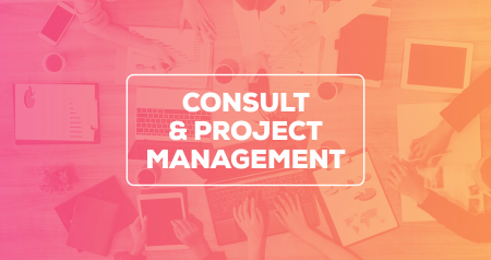 consult and project management