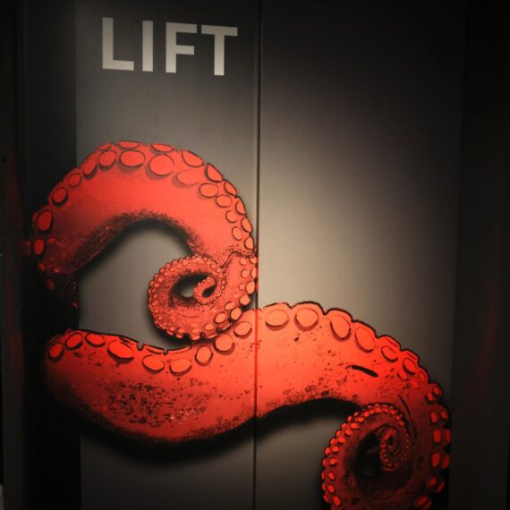 Squid exhibition lift door wrap with tentacle graphics – FG