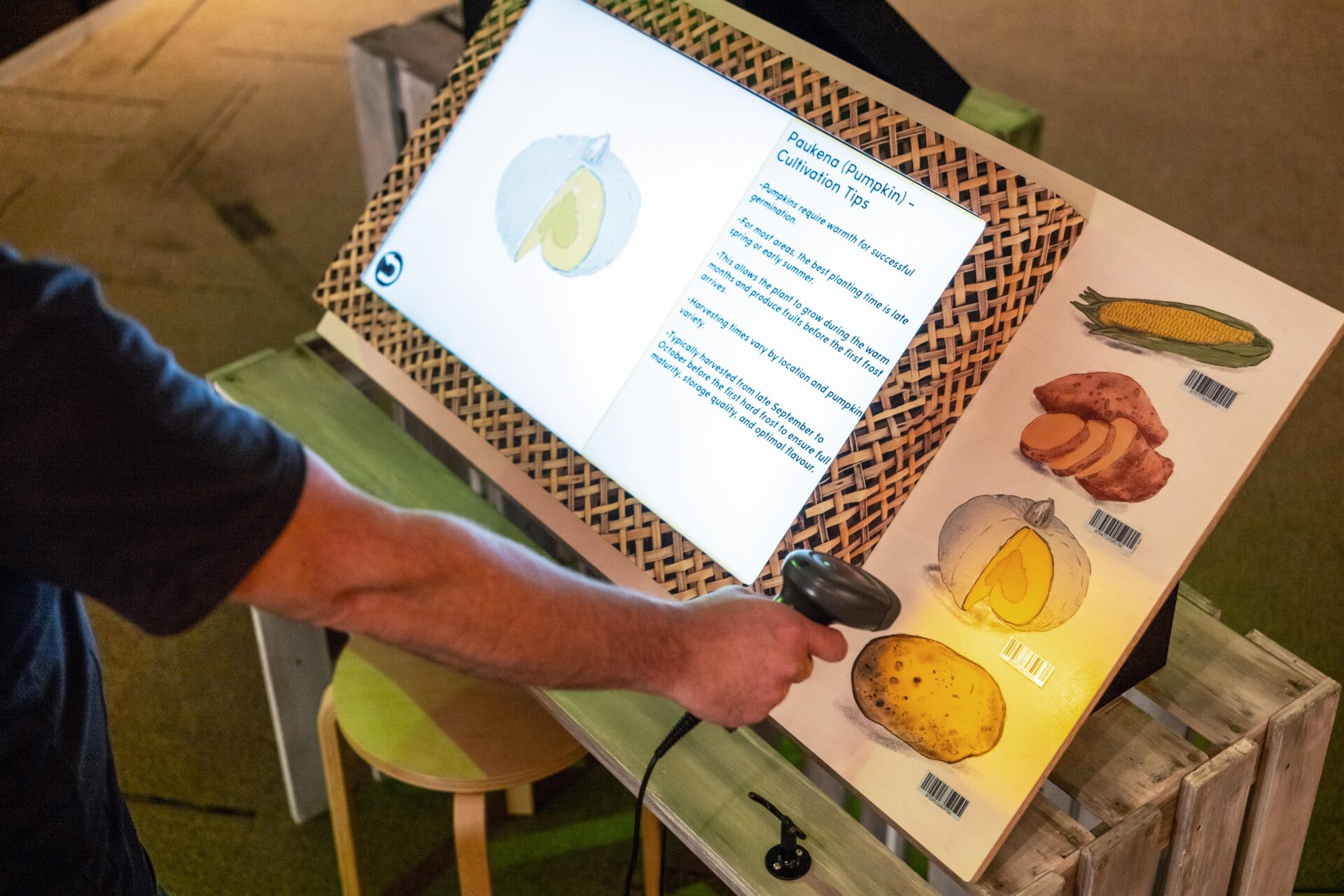 Interactive scanning station at Māori lunar calendar exhibition