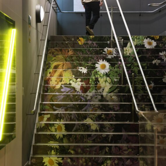 Stair mural showcasing enlarged botanical artwork in the exhibition space