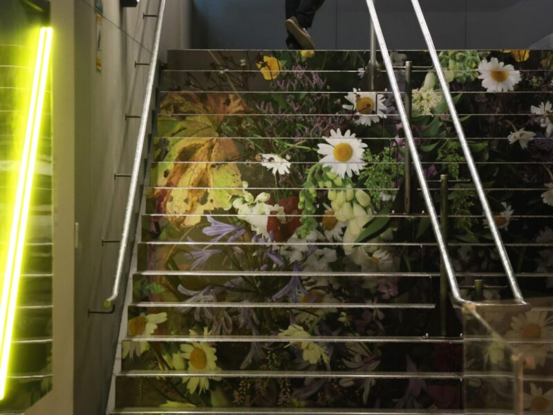 Stair mural showcasing enlarged botanical artwork in the exhibition space